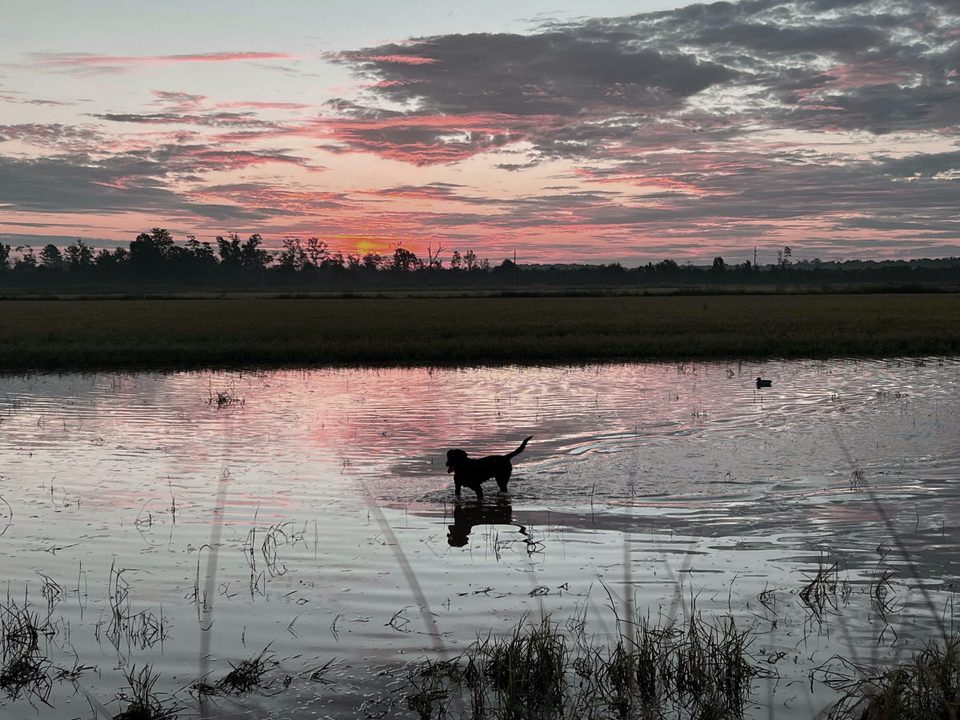 Louisiana hunting culture and leather craft inspiration