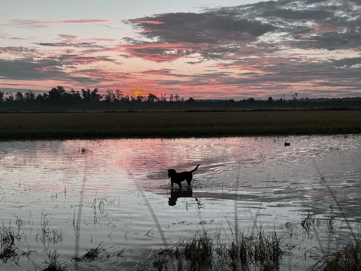Louisiana hunting culture and leather craft inspiration